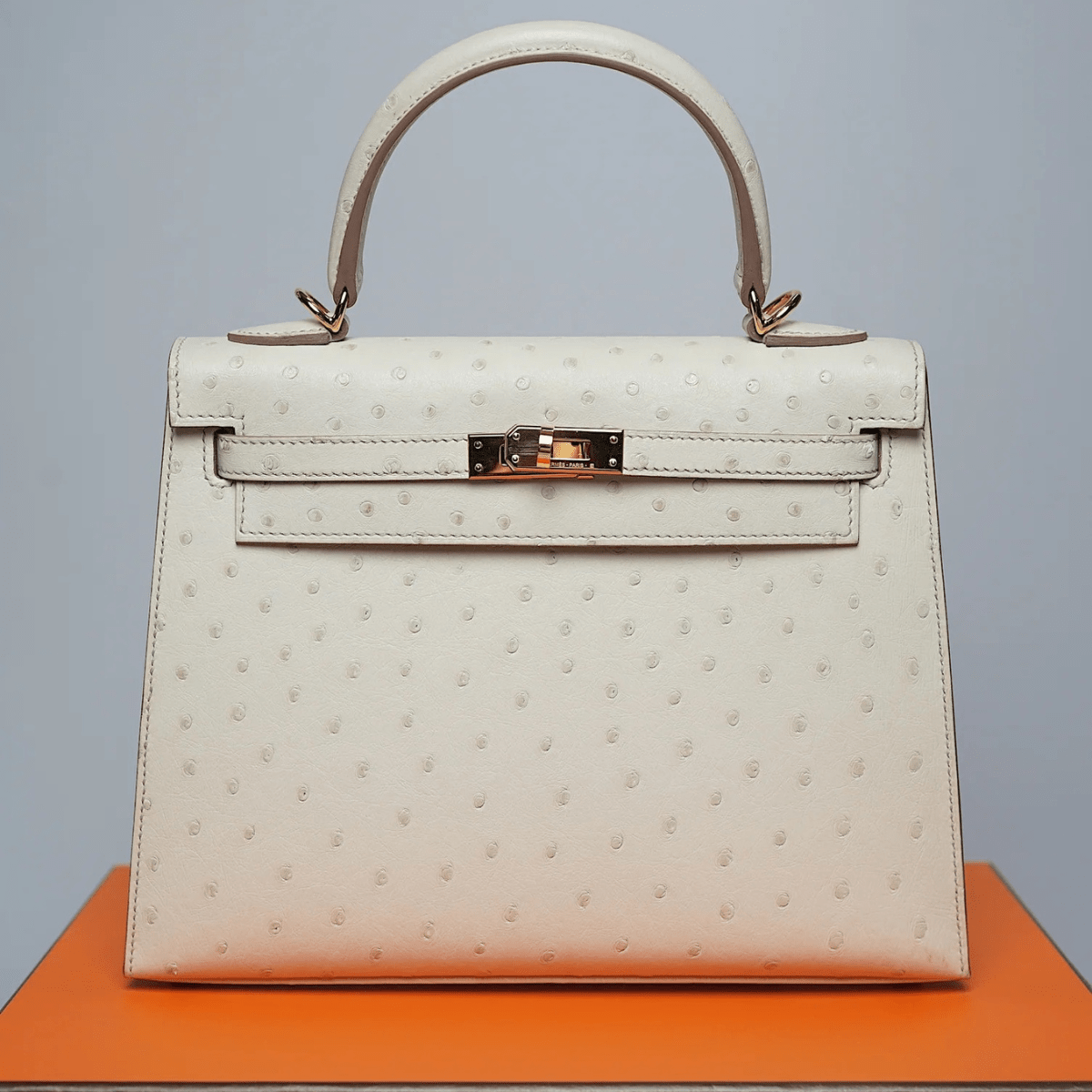 Hermes Kelly 25 in Beton Ostrich Ghw