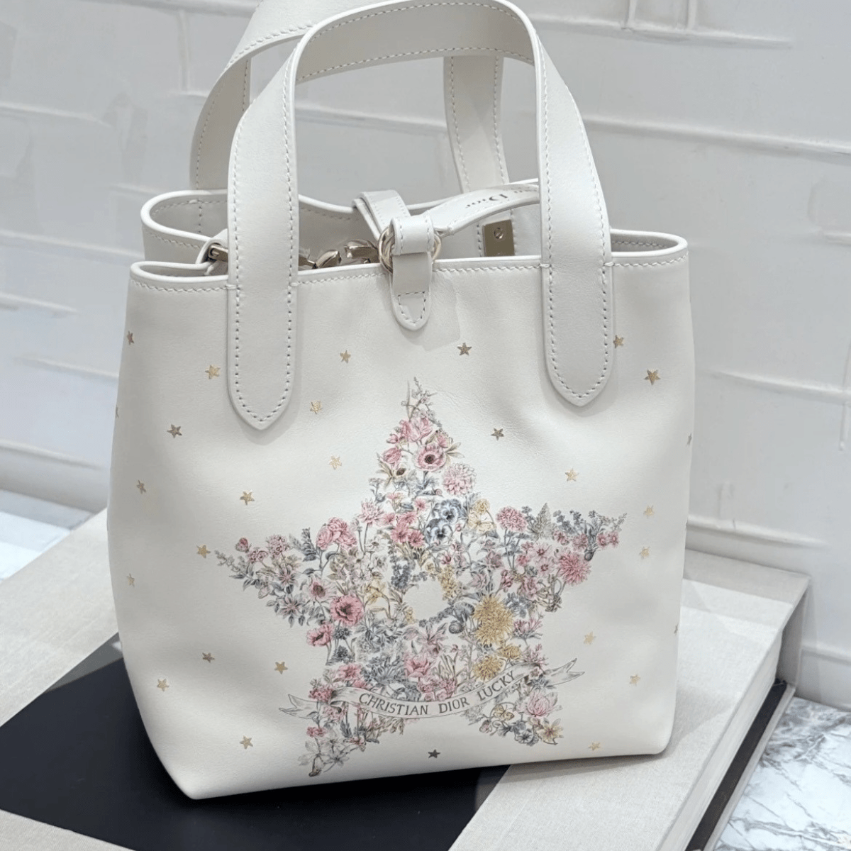 Vertical Small Dior Lucky Dior Toujours Tote Bag