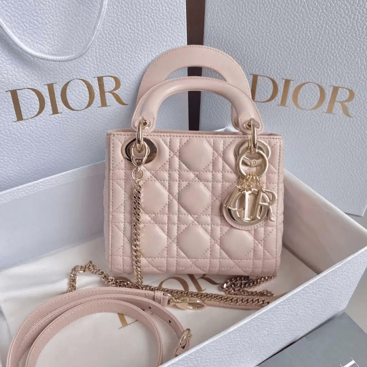 Mini Lady Dior Bag