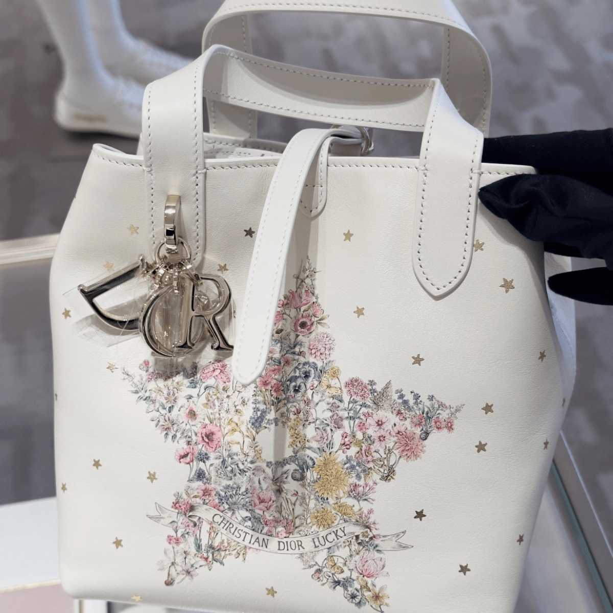 Vertical Small Dior Lucky Dior Toujours Tote Bag