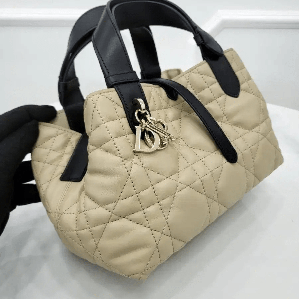 Dior Toujours Small Bag
