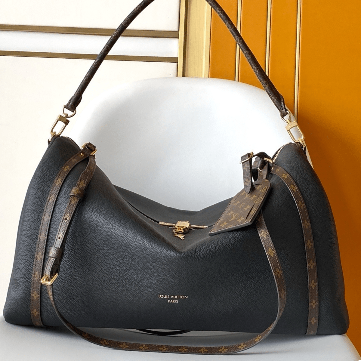 Louis Vuitton Express PM Bag
