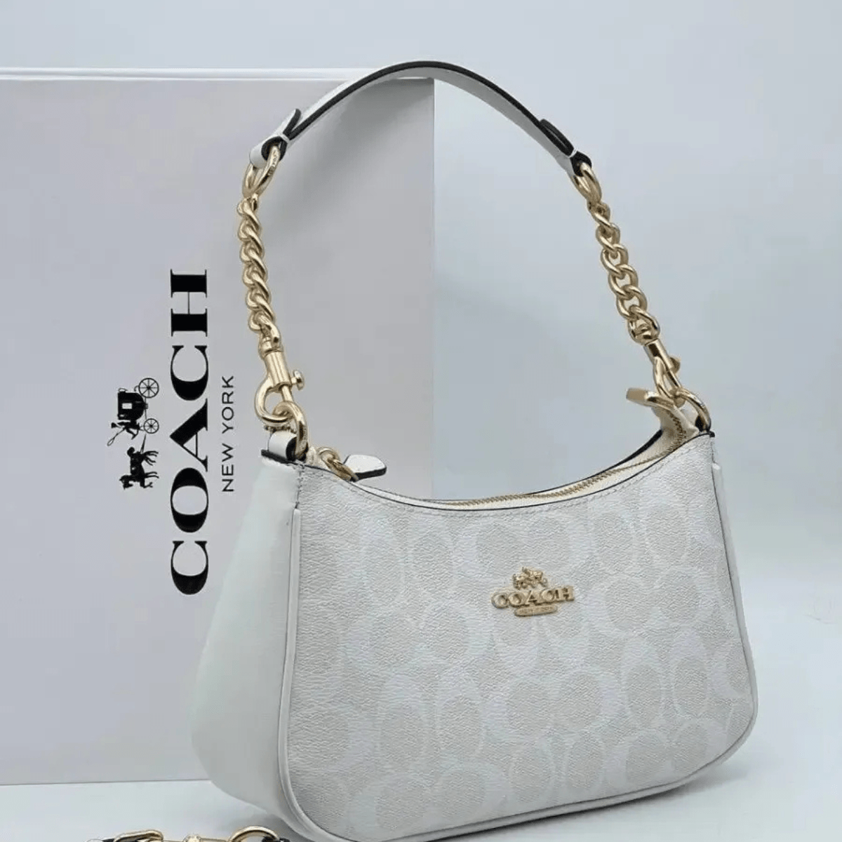 Coach Teri Signature Canvas Bag