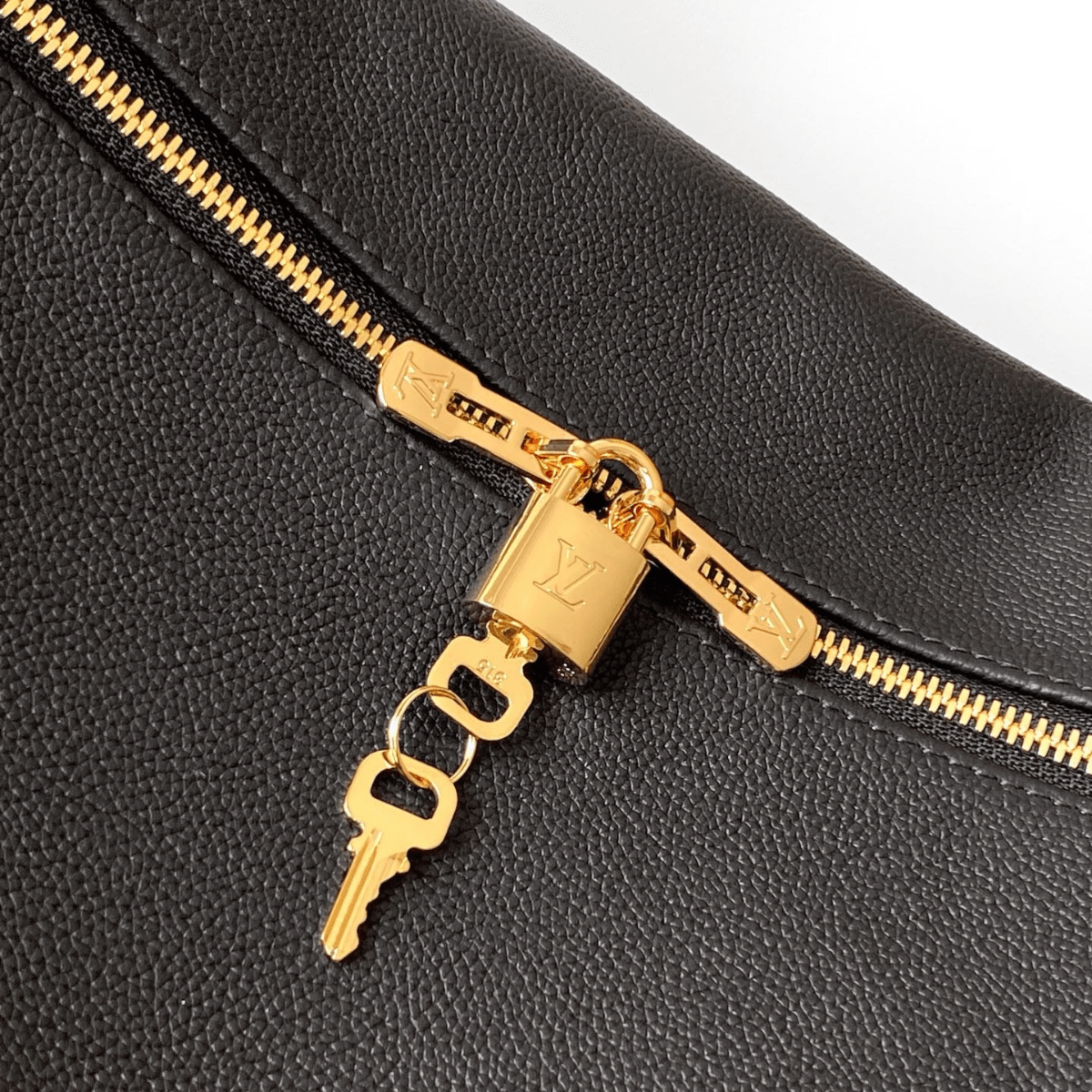 Louis Vuitton Express PM Bag