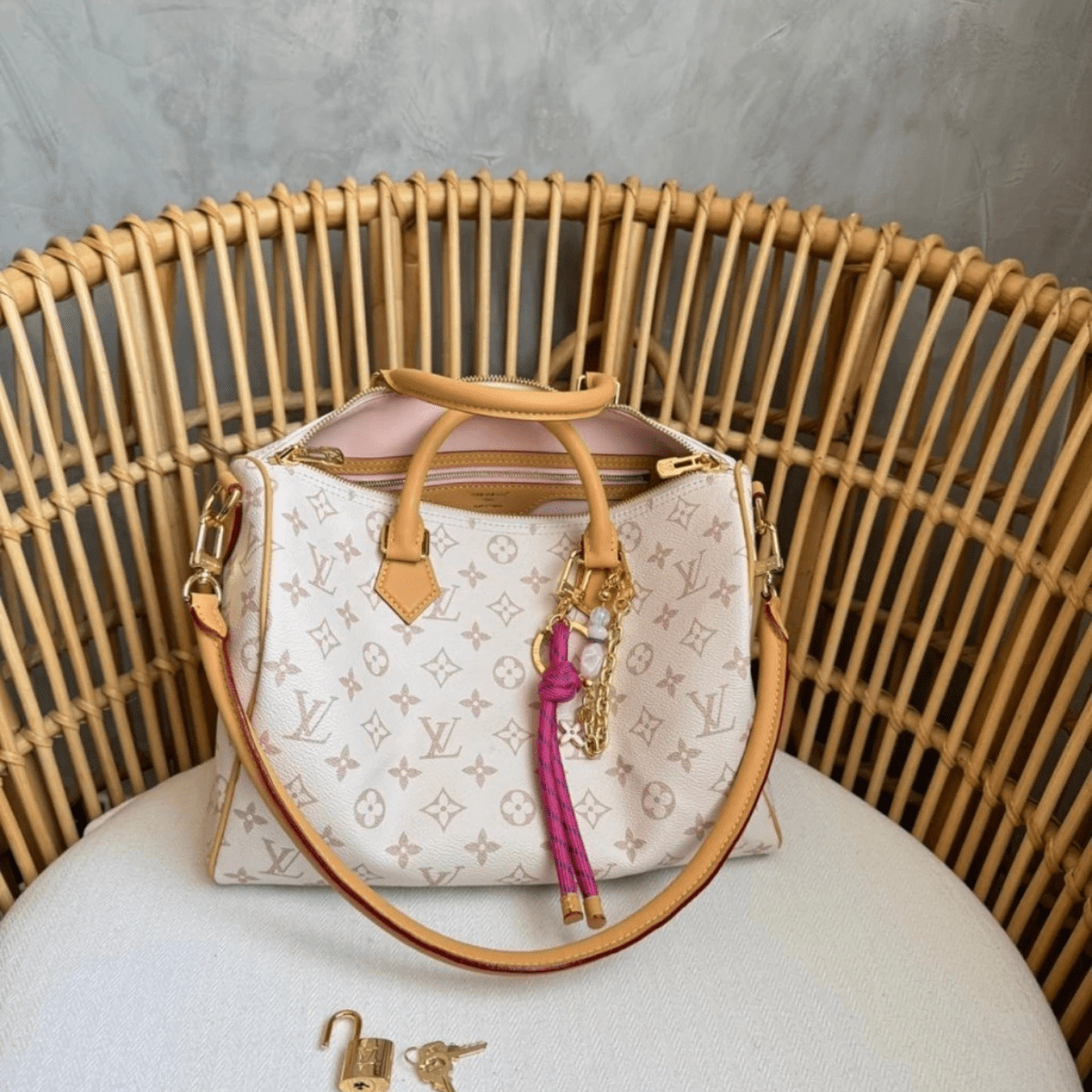 Louis Vuitton – Speedy Soft 30 Lucky Bag