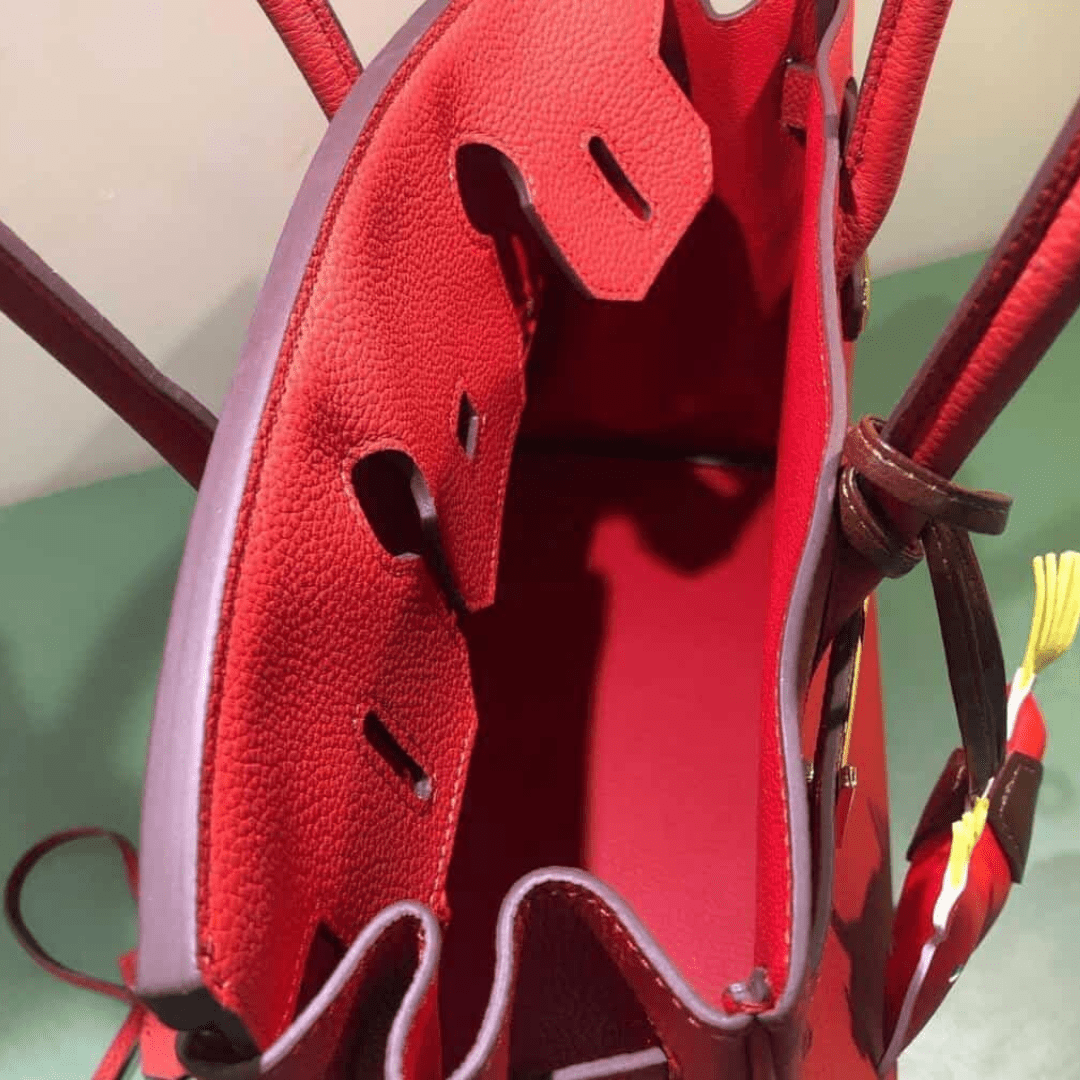 Hermès Birkin 30 Bag with Gold Hardware in Red