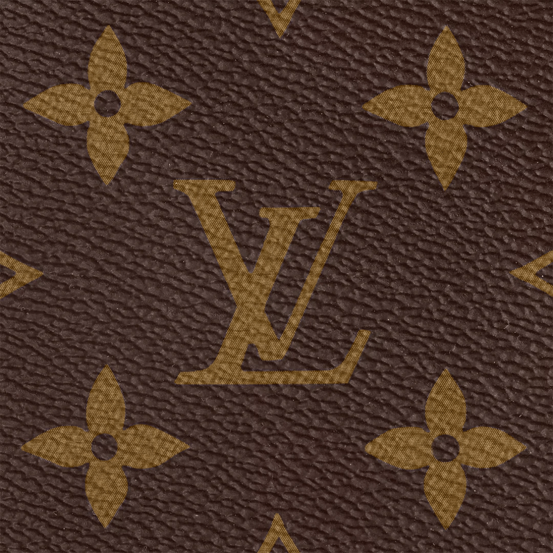 Multi Pochette Accessoires Louis Vuitton