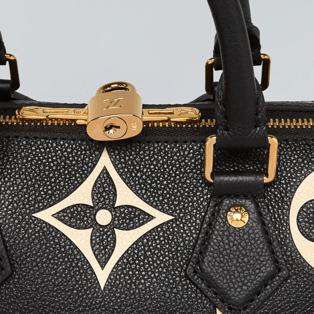 Louis Vuitton Speedy Bandoulière 25 Bag